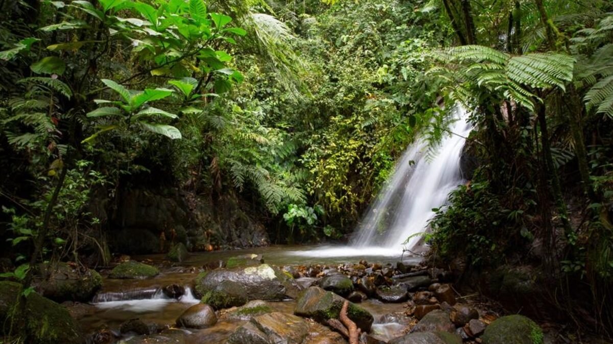 Ecuador recibe US$23 millones para adaptación climática rural