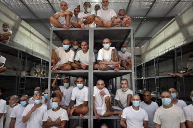Juicio masivo a 220 miembros de MS-13 por homicidios en El Salvador