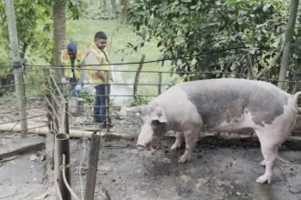 Fiscalía imputará cargos por contaminación de ríos en Azuero
