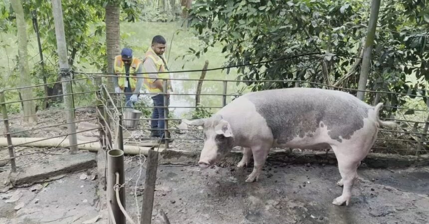Fiscalía imputará cargos por contaminación de ríos en Azuero