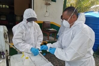 Panamá registra primera muerte por hantavirus en 2026: Minsa