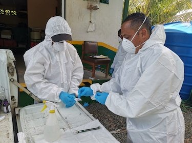 Panamá registra primera muerte por hantavirus en 2026: Minsa