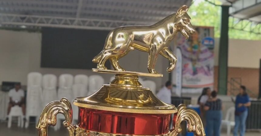Feria de Azuero 2026 cierra con tradicional concurso canino