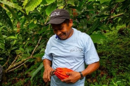 Panamá logra primera certificación Bird Friendly para cacao
