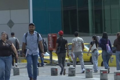 Panamá Oeste lidera desempleo juvenil con 26.7% en 2026