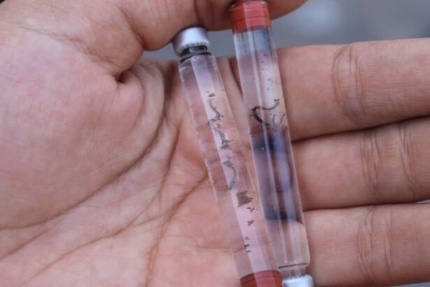 Dengue en Panamá: 2,035 casos y seis muertes en 2026
