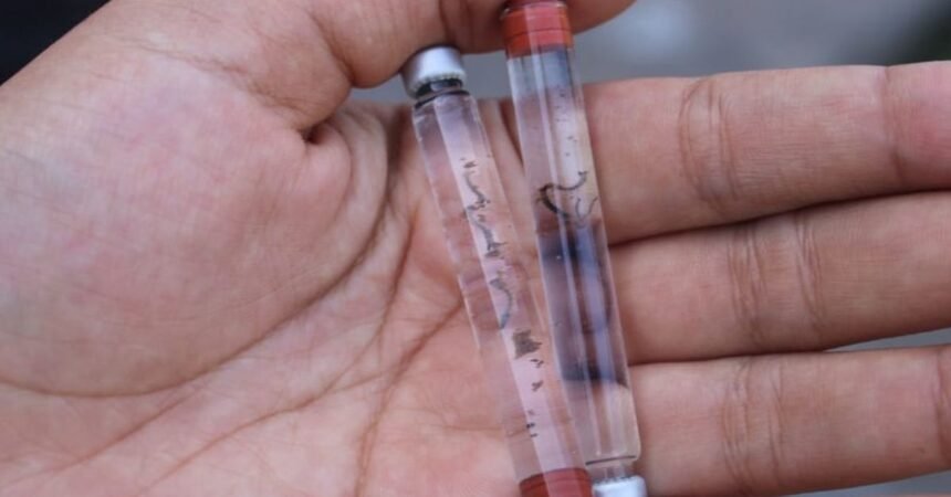 Dengue en Panamá: 2,035 casos y seis muertes en 2026