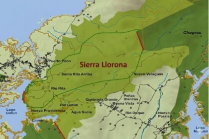 Descubren nueva especie de árbol en Sierra Llorona, Panamá