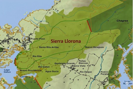 Descubren nueva especie de árbol en Sierra Llorona, Panamá