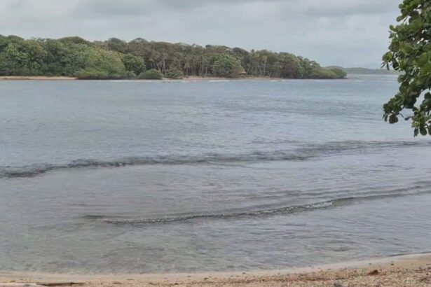 Sinaproc emite alerta por oleaje y viento en el Caribe panameño
