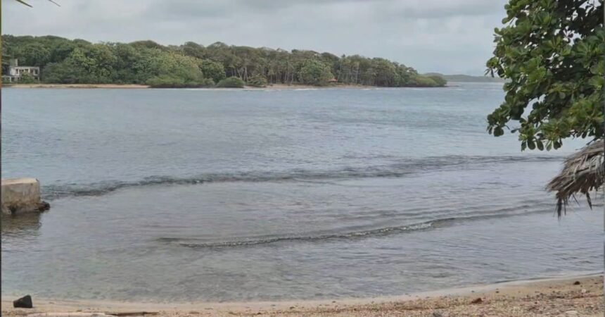 Sinaproc emite alerta por oleaje y viento en el Caribe panameño