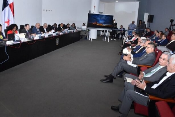 Diputados proponen limitar reglamentación del Tribunal Electoral