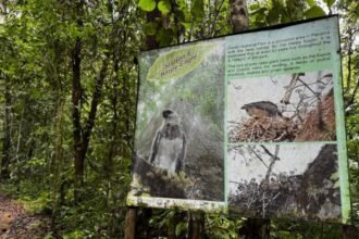 Panamá recibe $14.5 millones para Congreso Mundial de Áreas Protegidas