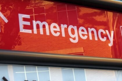 Florida registra mayor brote de dengue en EEUU en más de 10 años